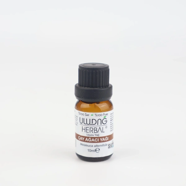 Çay ağacı yağı Melaleuca alternifolia