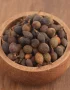Defne tohumu doğal ve katkısız tohum ürün görseli