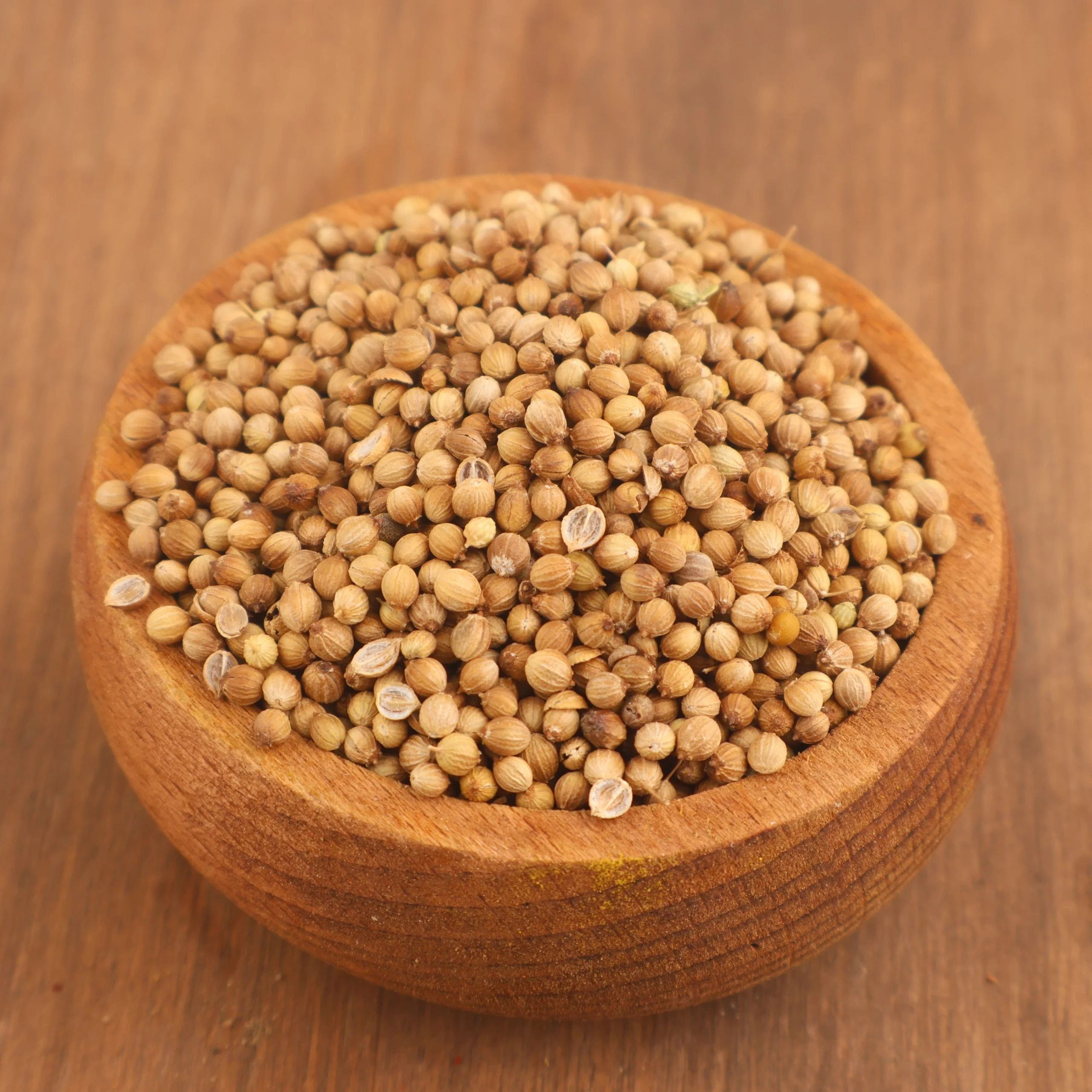 Kişniş Tane Doğal kişniş tane baharatı - Coriandrum sativum L.