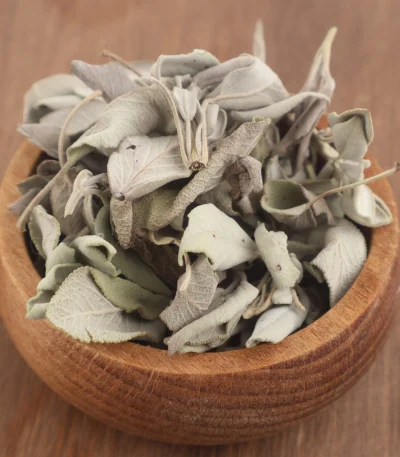 Adaçayı Salvia officinalis doğal kurutulmuş şifalı bitki