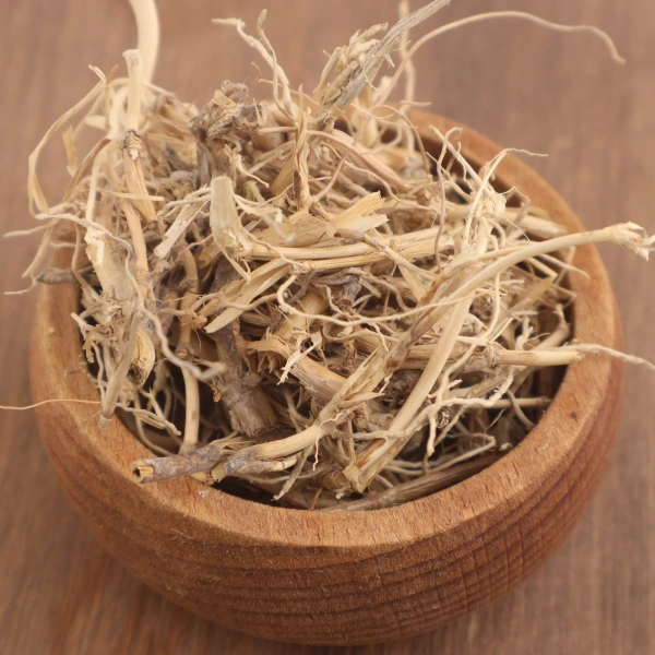 Ayrık otu Elymus repens doğal kurutulmuş şifalı bitki ürünü