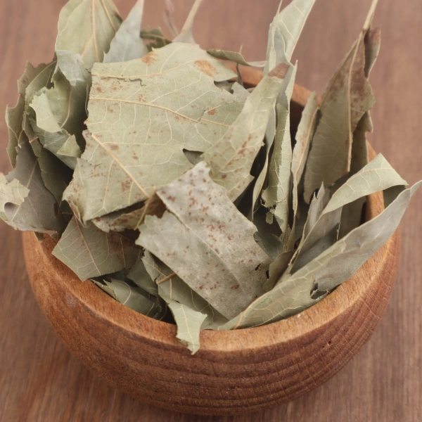 Çınar yaprağı Platanus orientalis doğal kurutulmuş şifalı bitki ürünü