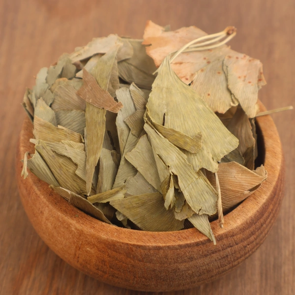 Ginkgo biloba kurutulmuş doğal bitkisel ürün