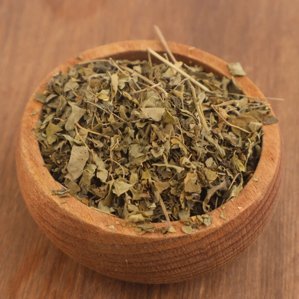 Moringa yaprağı Moringa oleifera kurutulmuş doğal bitki