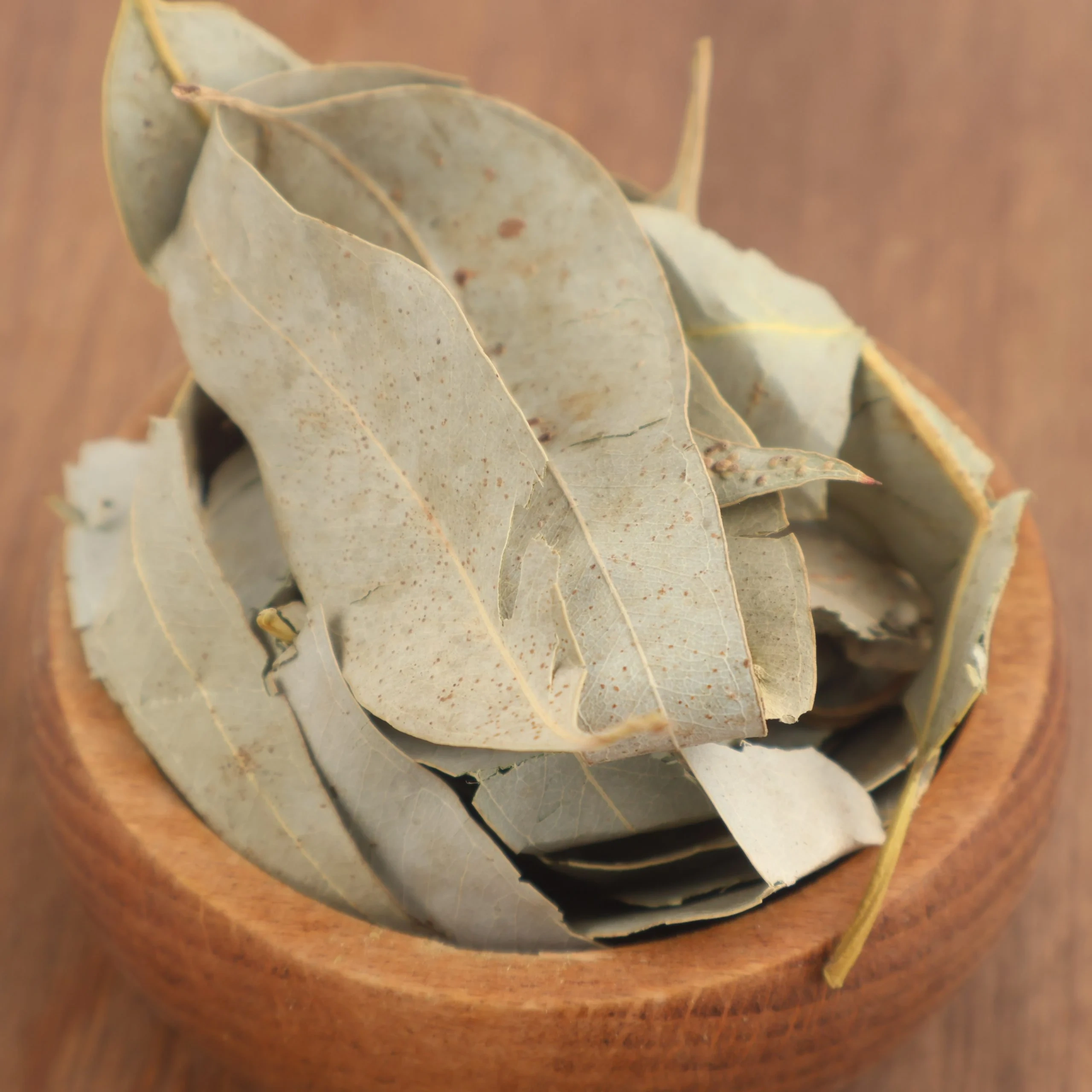 Okaliptüs Yaprağı – Eucalyptus globulus Okaliptüs yaprağı Eucalyptus globulus kurutulmuş doğal aromatik bitki