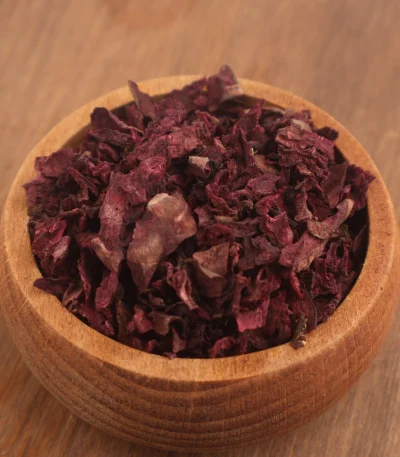 Pancar kökü Beta vulgaris doğal kurutulmuş kök ürün