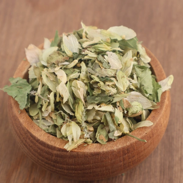 Şerbetçi otu Humulus lupulus kurutulmuş doğal bitki