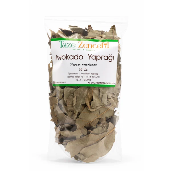 Avokado Yaprağı