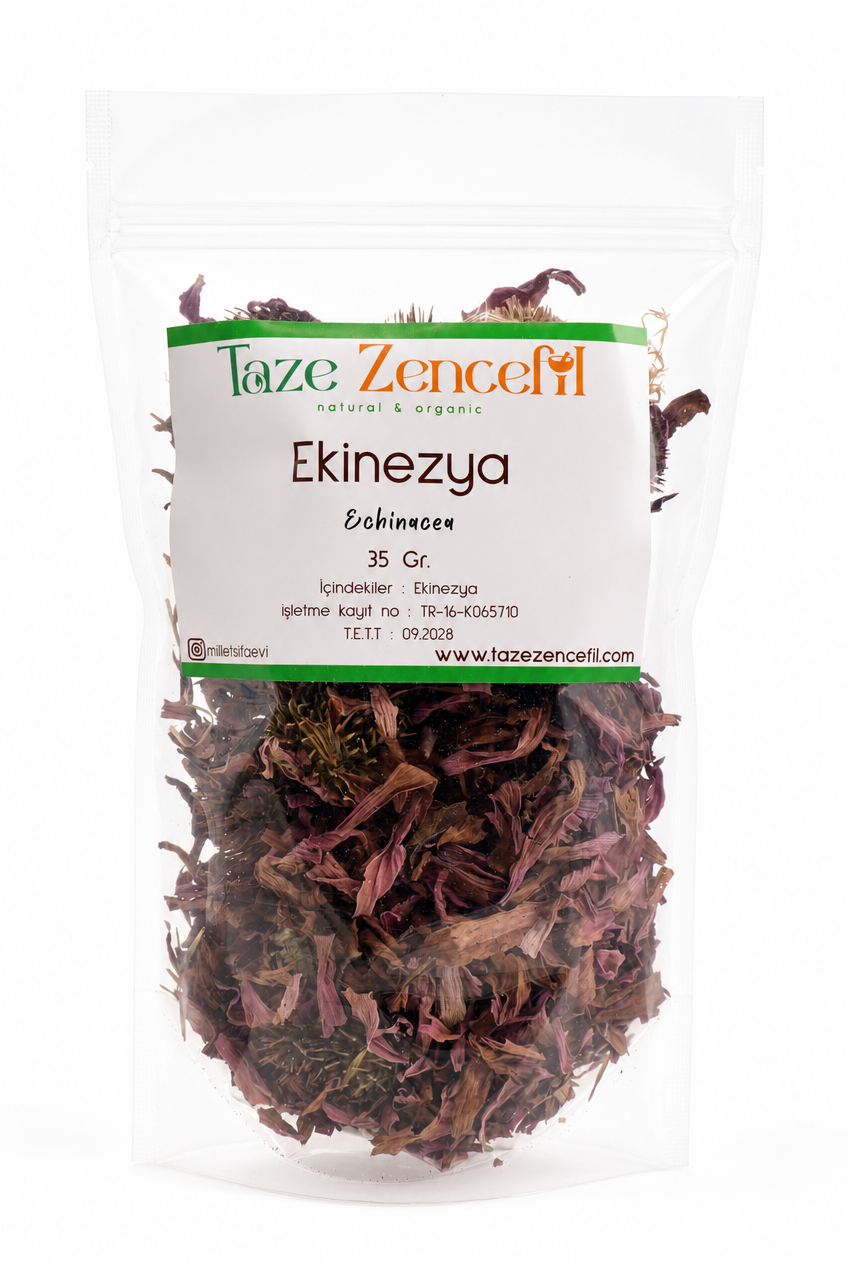 ekinezya Ekinezya - Görsel 1