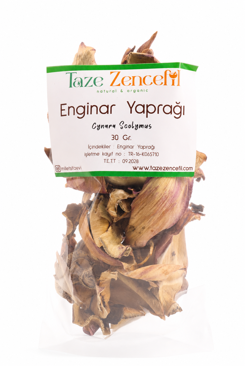 enginar_yapr Enginar Yaprağı - Görsel 1