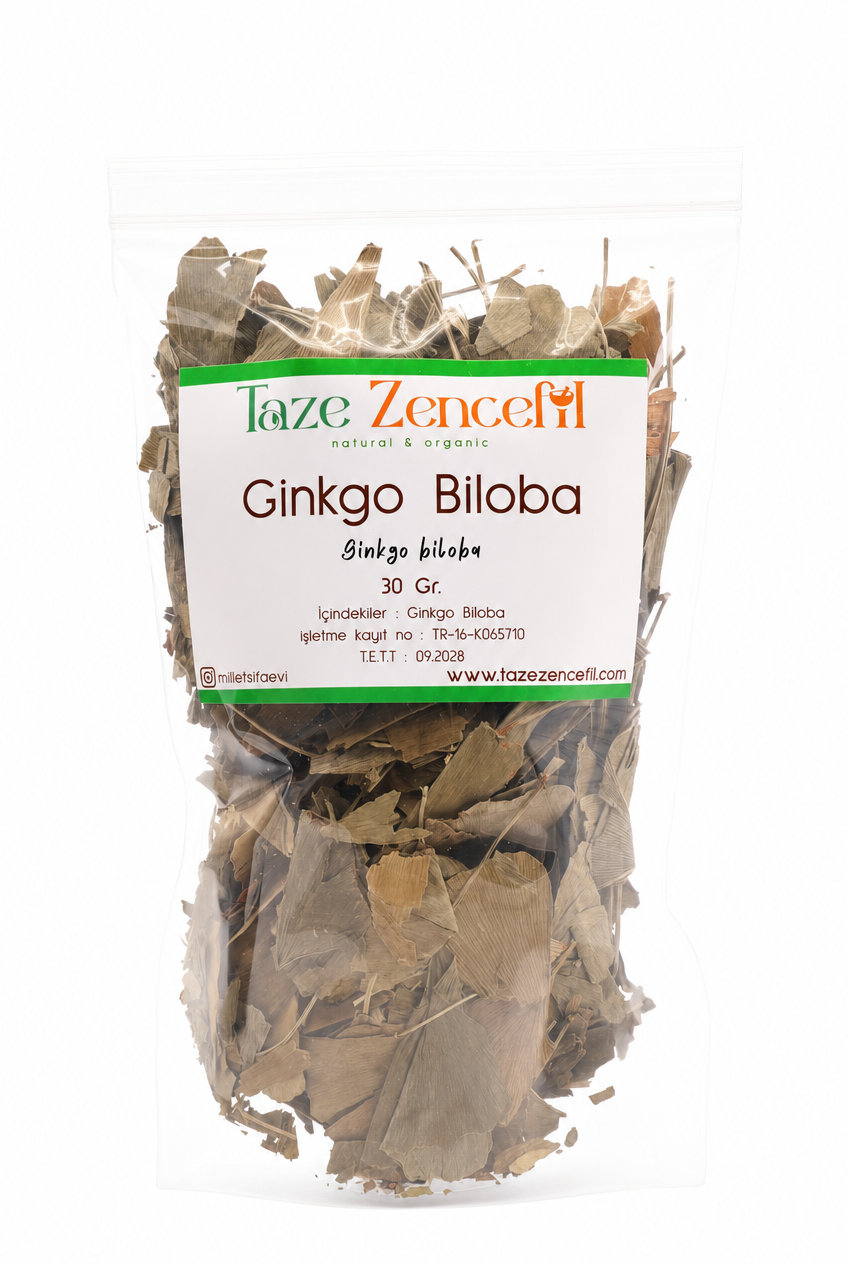 ginko Ginkgo Biloba - Görsel 1