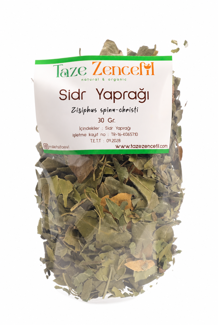 sidr Sidr Yaprağı - Görsel 1