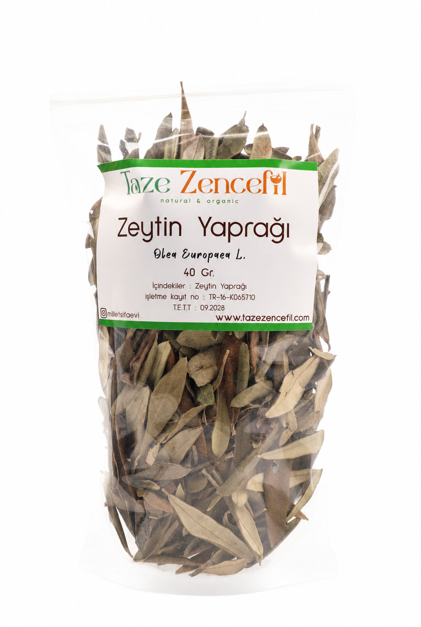 zeytin_yapragi Zeytin Yaprağı - Görsel 1