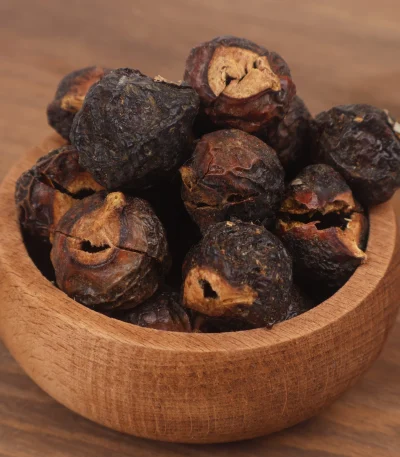 Sabun Cevizi (Sapindus mukorossi) doğal çamaşır temizleyici